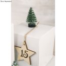 Deko-Tannenbaum beschneit, 5cm, grün, PVC-Box 8Stück